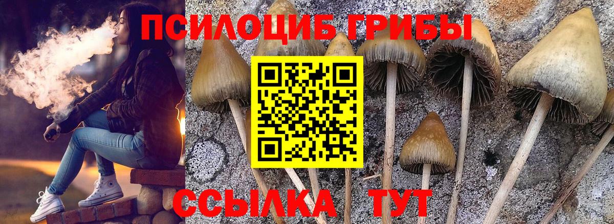 Псилоцибиновые грибы Magic Shrooms Всеволожск