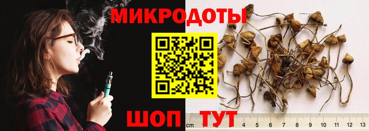 Всеволожск  Псилоцибиновые грибы мухоморы  Вход с VPN  Галлюциногенные грибы Psilocybine cubensis 